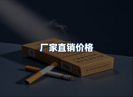 专业团队办公环境